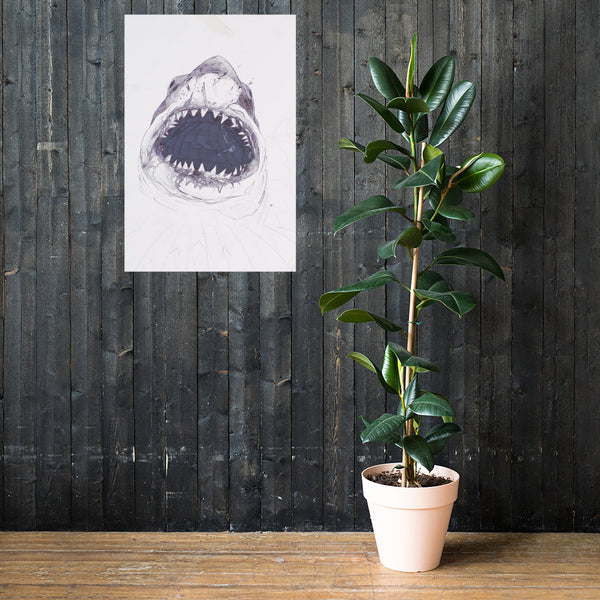 Eli Enz Poster Shark